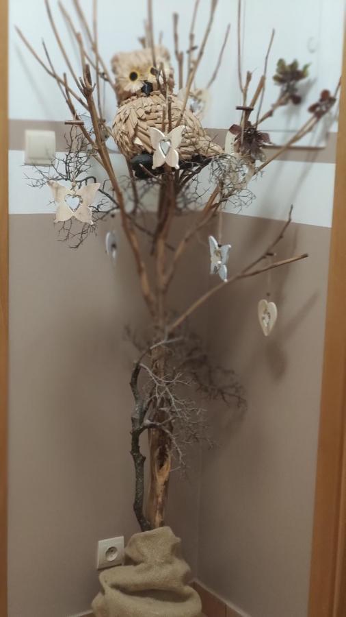 Margus Apartmany Oscadnica Luaran gambar
